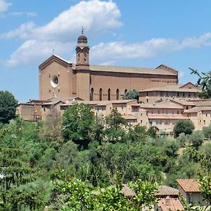 B&B Pantaneto - Palazzo Bulgarini